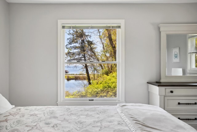 142 Fortunes Rocks Rd, Biddeford, ME 04005 - bedroom with multiple windows