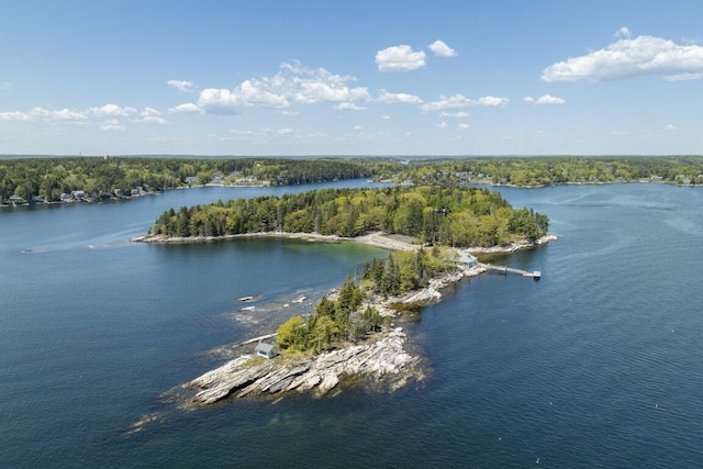 1 Mouse Is, Southport, ME 04576 - water view featuring a heavily wooded area