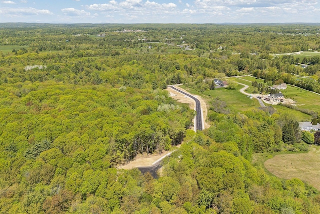 7 Coastal Pnes, Cumberland, ME 04021 - aerial view of property and surrounding area with a forest