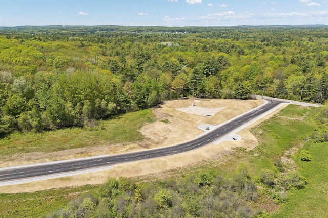7 Coastal Pnes, Cumberland, ME 04021 - drone / aerial view of a heavily wooded area