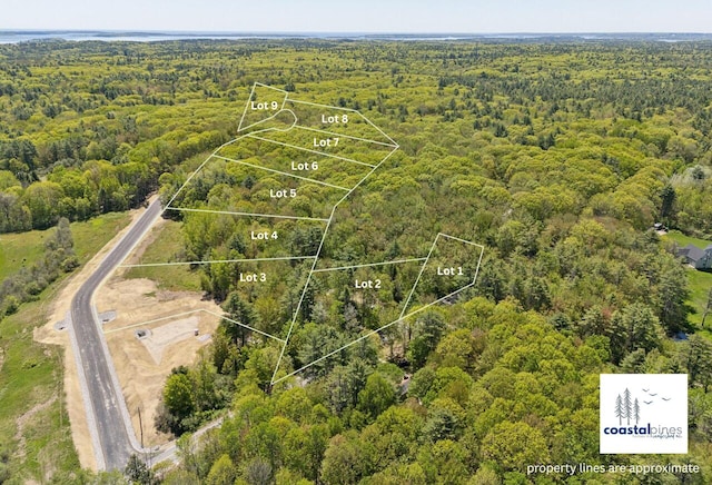 7 Coastal Pnes, Cumberland, ME 04021 - view of property location with a heavily wooded area and property parcel outlined