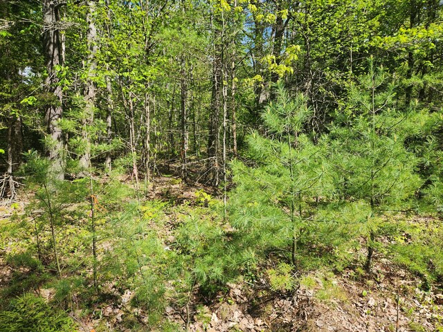 MAPR121B Alna Rd, Alna, ME 04535
