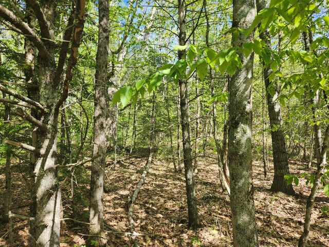 MAPR121B Alna Rd, Alna, ME 04535