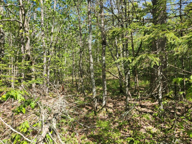 MAPR121B Alna Rd, Alna, ME 04535