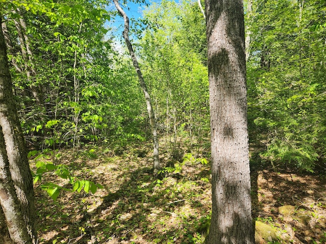MAPR121B Alna Rd, Alna, ME 04535