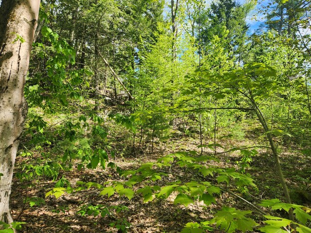MAPR121B Alna Rd, Alna, ME 04535
