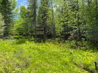 254 Eaton Rd, Dexter, ME 04435 - view of tree filled area