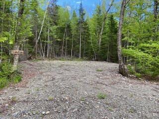 254 Eaton Rd, Dexter, ME 04435 - view of tree filled area