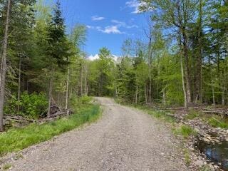 254 Eaton Rd, Dexter, ME 04435 - view of street featuring a view of trees