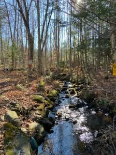 254 Eaton Rd, Dexter, ME 04435 - view of local wilderness