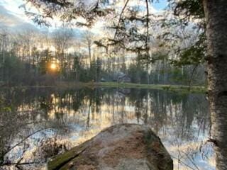 254 Eaton Rd, Dexter, ME 04435 - water view