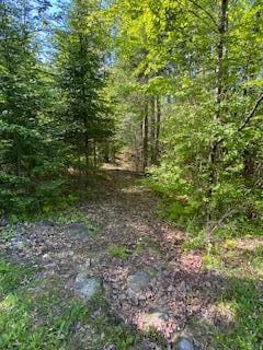 254 Eaton Rd, Dexter, ME 04435 - view of wooded area