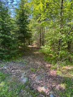 254 Eaton Rd, Dexter, ME 04435 - view of wooded area