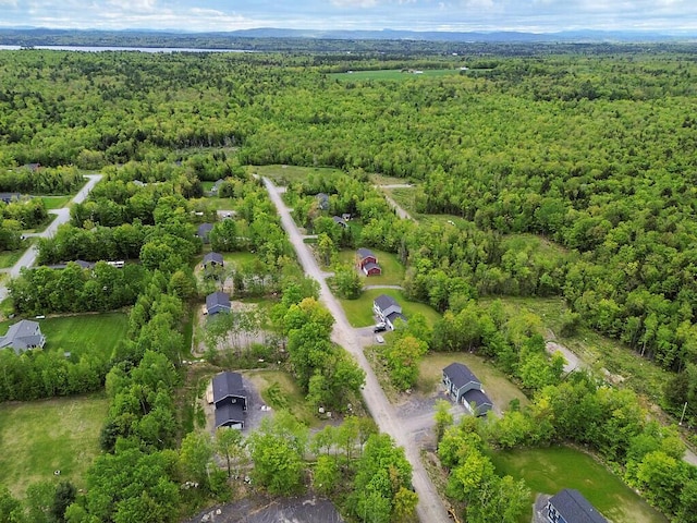 65 May Way, Sidney, ME 04330 - drone / aerial view of a heavily wooded area