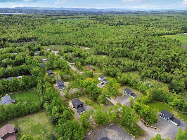 65 May Way, Sidney, ME 04330 - bird's eye view of a heavily wooded area