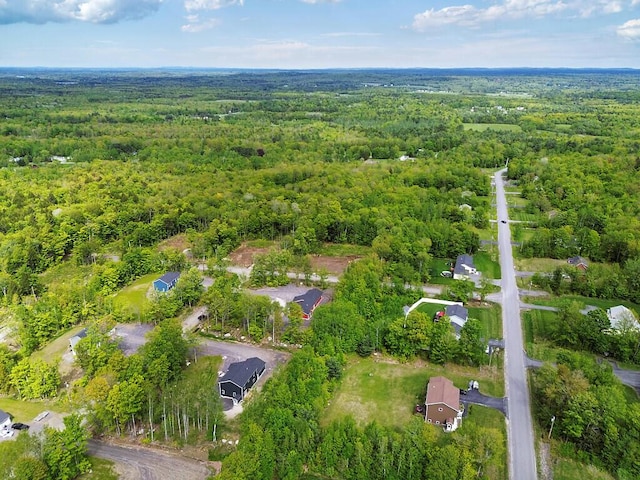 65 May Way, Sidney, ME 04330 - view of property location featuring a heavily wooded area