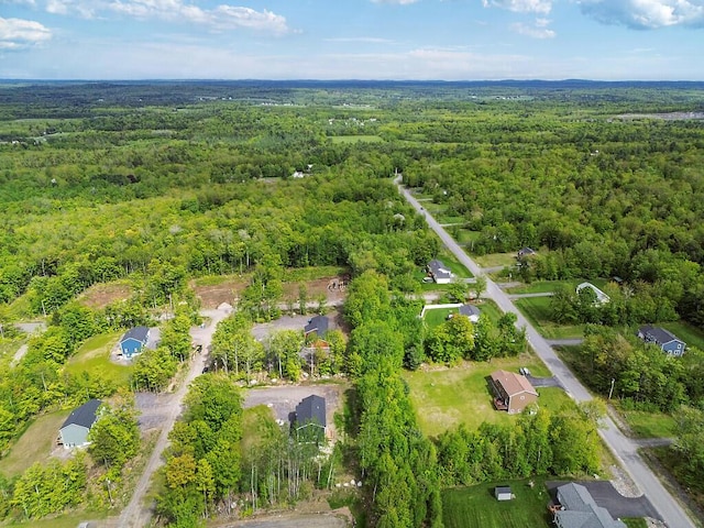 65 May Way, Sidney, ME 04330 - drone / aerial view of a forest