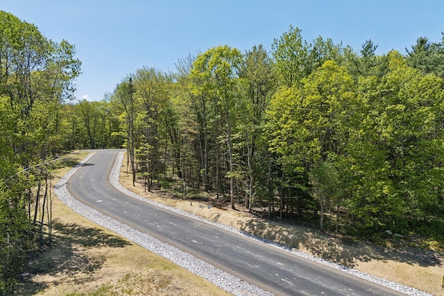 13 Coastal Pnes, Cumberland, ME 04021 - view of asphalt street with a forest view