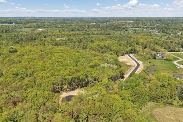 13 Coastal Pnes, Cumberland, ME 04021 - view of property location featuring a forest