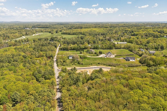 13 Coastal Pnes, Cumberland, ME 04021 - bird's eye view of a heavily wooded area
