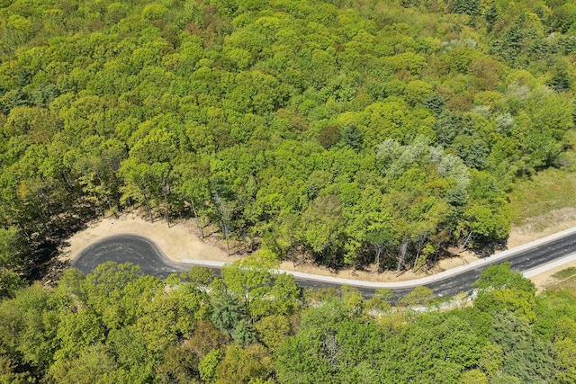 13 Coastal Pnes, Cumberland, ME 04021 - bird's eye view of a heavily wooded area
