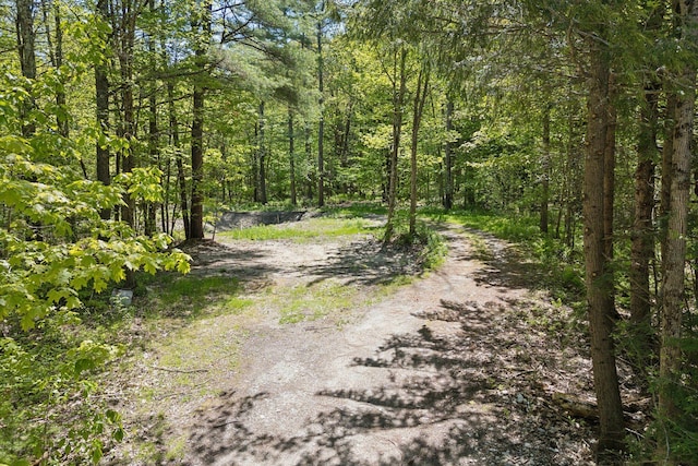 13 Coastal Pnes, Cumberland, ME 04021 - view of street with a forest view