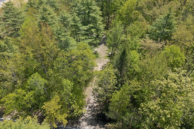 13 Coastal Pnes, Cumberland, ME 04021 - drone / aerial view of a forest