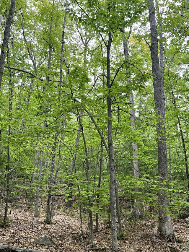 0 Ledgeview Hts, Hiram, ME 04041