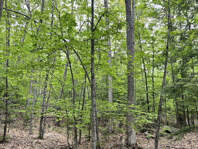 0 Ledgeview Hts, Hiram, ME 04041