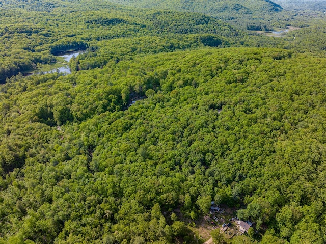 0 Ledgeview Hts, Hiram, ME 04041