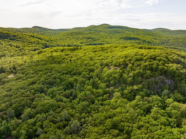 0 Ledgeview Hts, Hiram, ME 04041