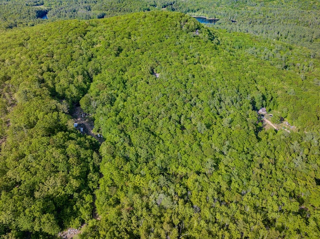 0 Ledgeview Hts, Hiram, ME 04041