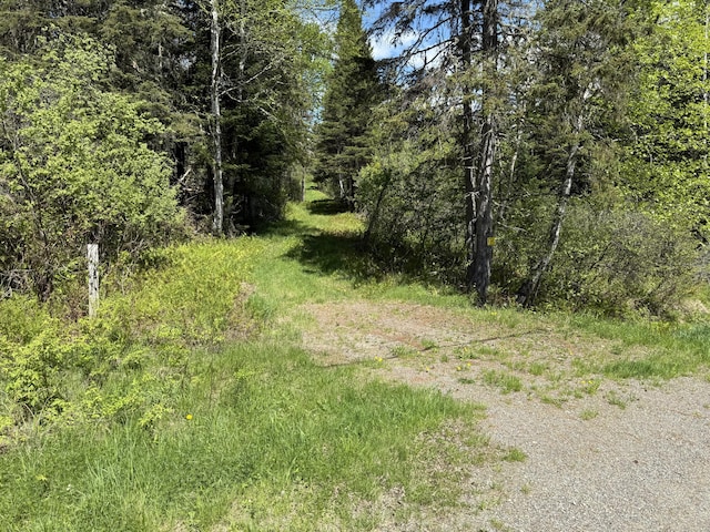 10 Rachel Ln, Rangeley, ME 04970 - view of wooded area
