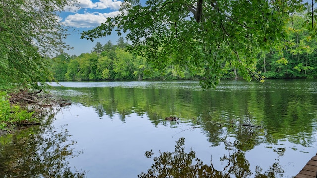 237 River Rd, Hollis, ME 04042 - photo 18