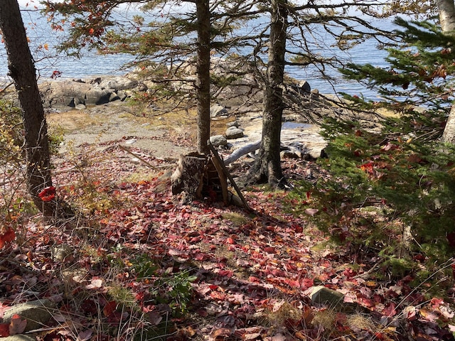 219 Willis Ln, Islesboro, ME 04848 - view of undeveloped land with a large body of water