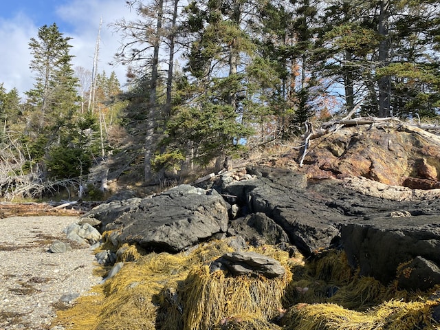 219 Willis Ln, Islesboro, ME 04848 - view of undeveloped land