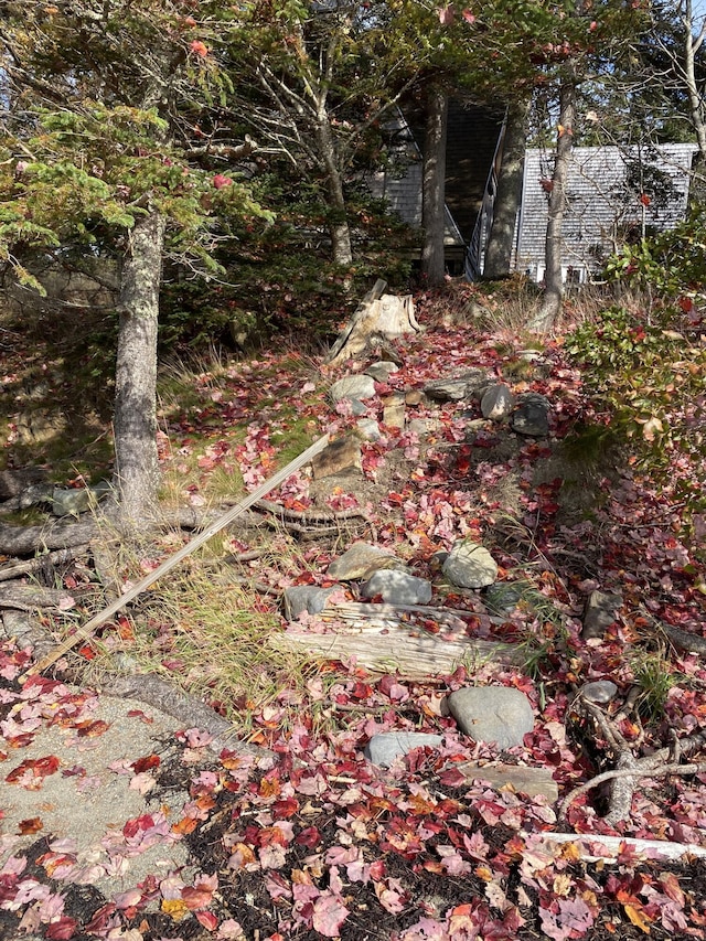 219 Willis Ln, Islesboro, ME 04848 - view of undeveloped land