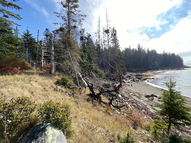 219 Willis Ln, Islesboro, ME 04848 - view of undeveloped land featuring a nearby body of water