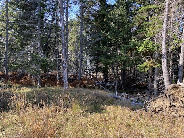 219 Willis Ln, Islesboro, ME 04848 - view of local wilderness