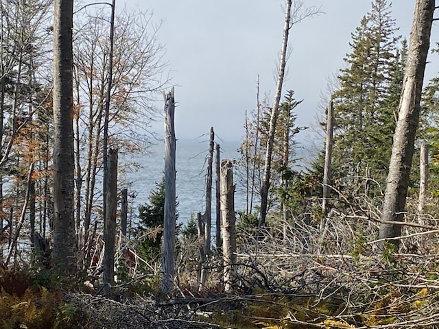 219 Willis Ln, Islesboro, ME 04848 - view of nature