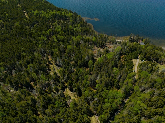 219 Willis Ln, Islesboro, ME 04848 - view of property location with a heavily wooded area and a large body of water