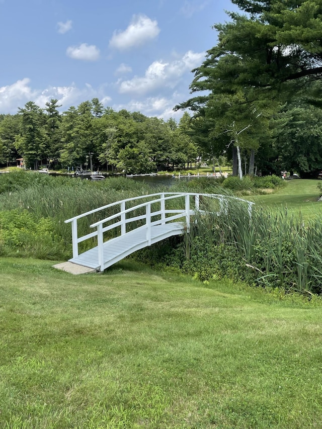 4 Goodridge Dr Unit 4, Naples, ME 04055 - view of green lawn