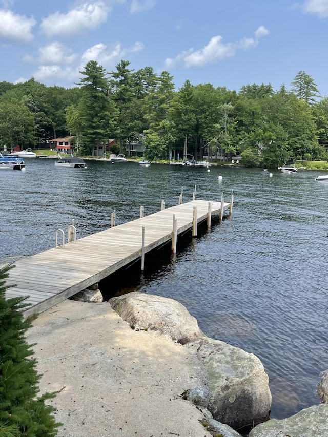 4 Goodridge Dr Unit 4, Naples, ME 04055 - dock featuring a water view and a view of trees