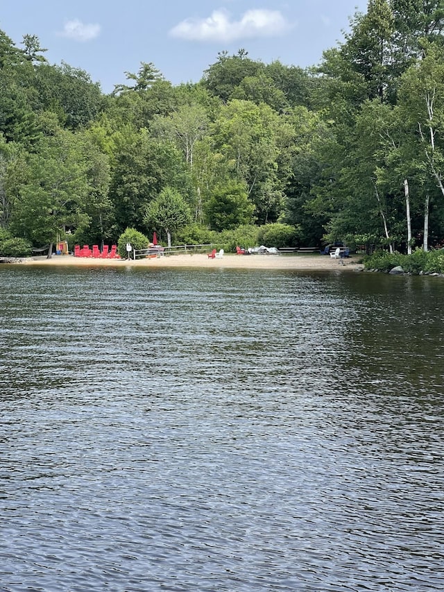 4 Goodridge Dr Unit 4, Naples, ME 04055 - water view featuring a heavily wooded area