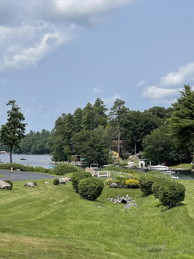 4 Goodridge Dr Unit 4, Naples, ME 04055 - view of community with a water view, a lawn, and a forest view