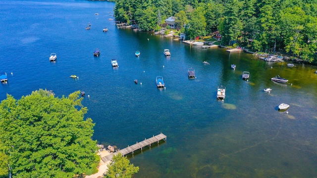 4 Goodridge Dr Unit 4, Naples, ME 04055 - drone / aerial view of a nearby body of water