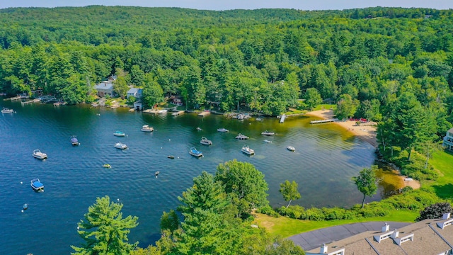 4 Goodridge Dr Unit 4, Naples, ME 04055 - drone / aerial view of a heavily wooded area and a nearby body of water