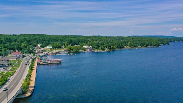 4 Goodridge Dr Unit 4, Naples, ME 04055 - water view featuring a forest