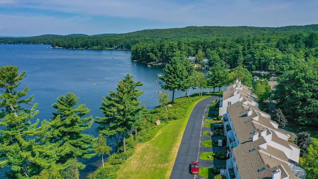 4 Goodridge Dr Unit 4, Naples, ME 04055 - drone / aerial view of a forest and a nearby body of water