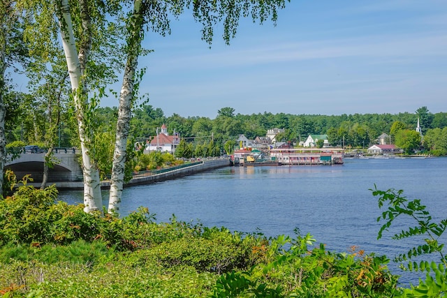 4 Goodridge Dr Unit 4, Naples, ME 04055 - water view